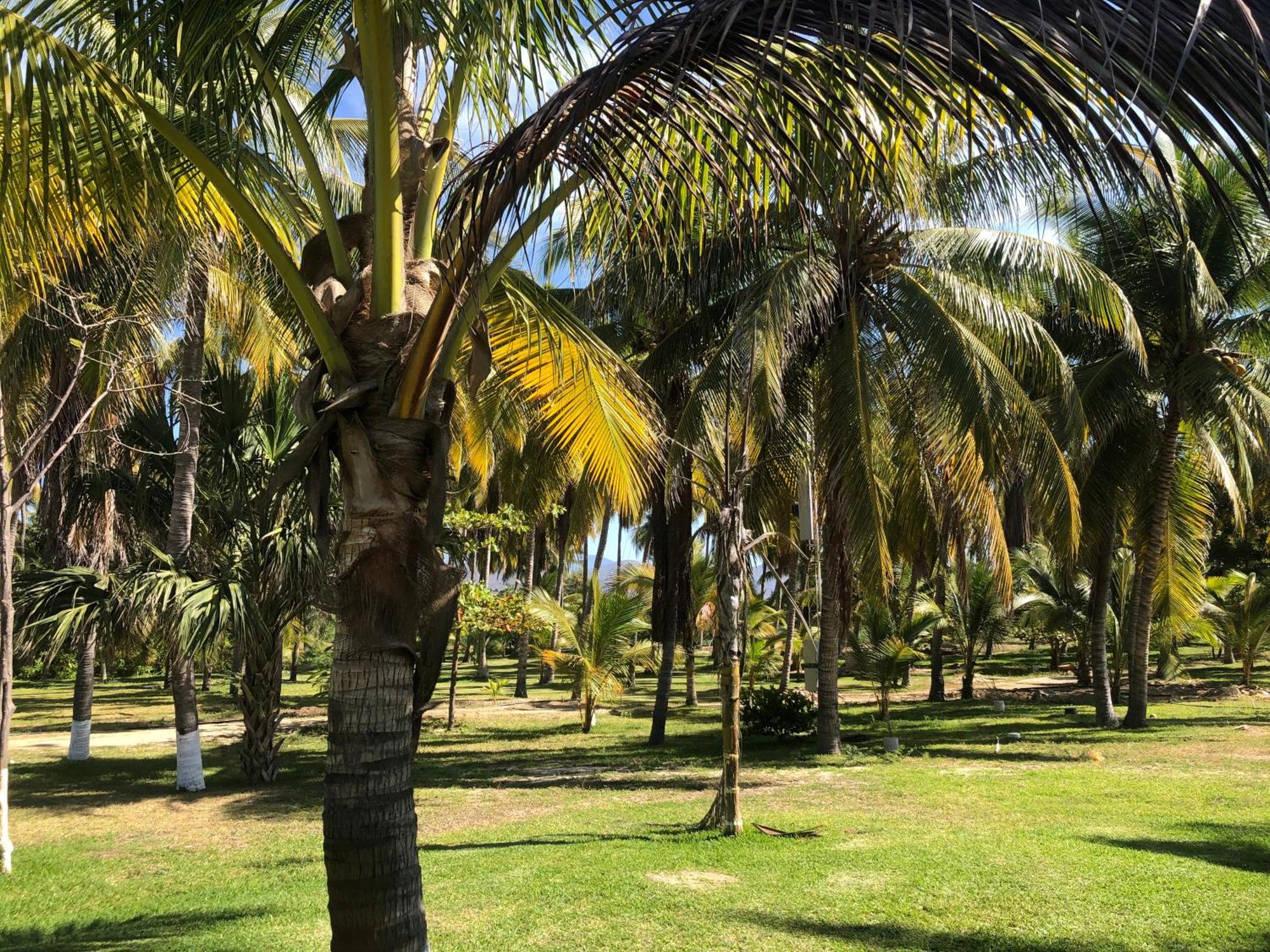 Casa Kundavi Beach Front Paradise Recado Exteriör bild
